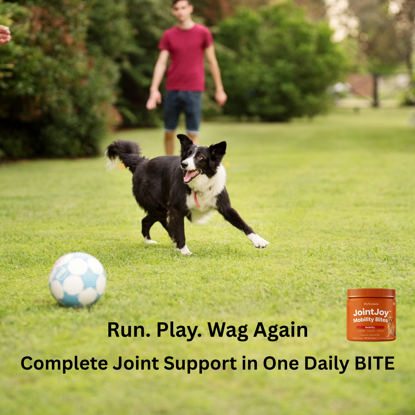 JointJoy™ -Mobility Bites