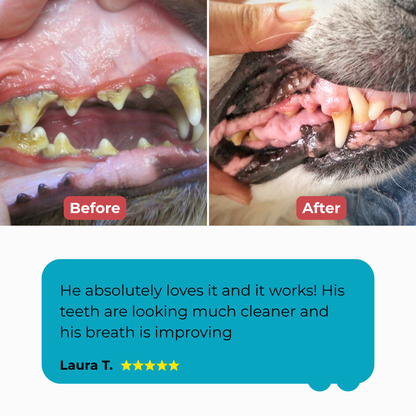 PETDENTAL- Turn Your Dog’s Bad Breath Into Fresh Kisses — Effortlessly