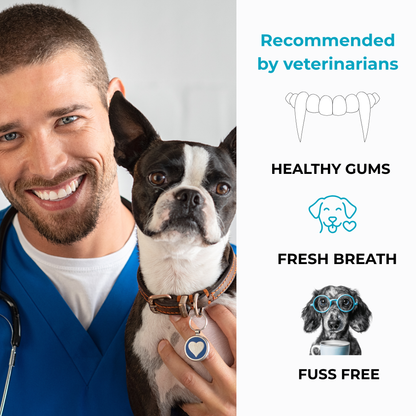 PETDENTAL- Turn Your Dog’s Bad Breath Into Fresh Kisses — Effortlessly
