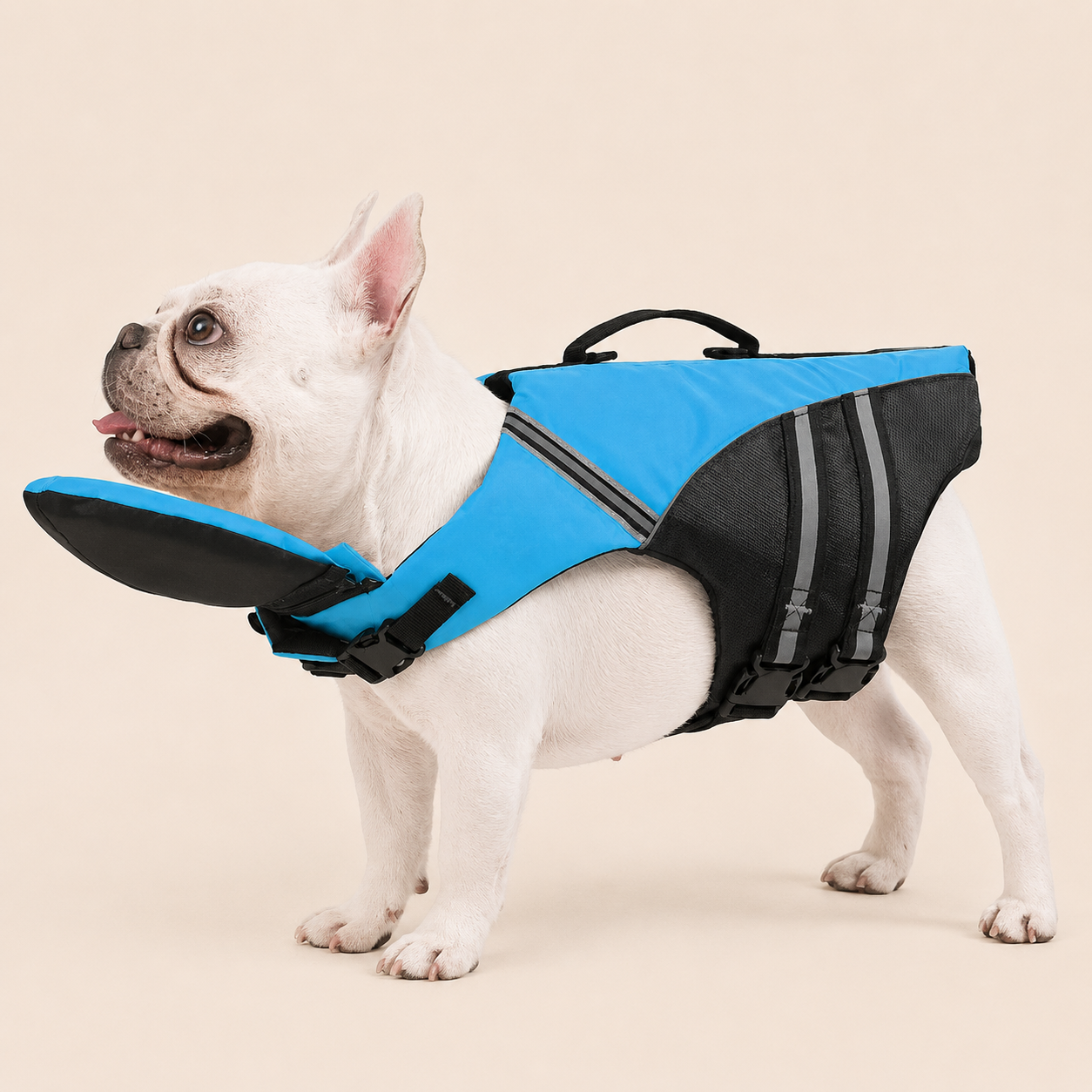 ChinLift- Dog Swim Safety Vest