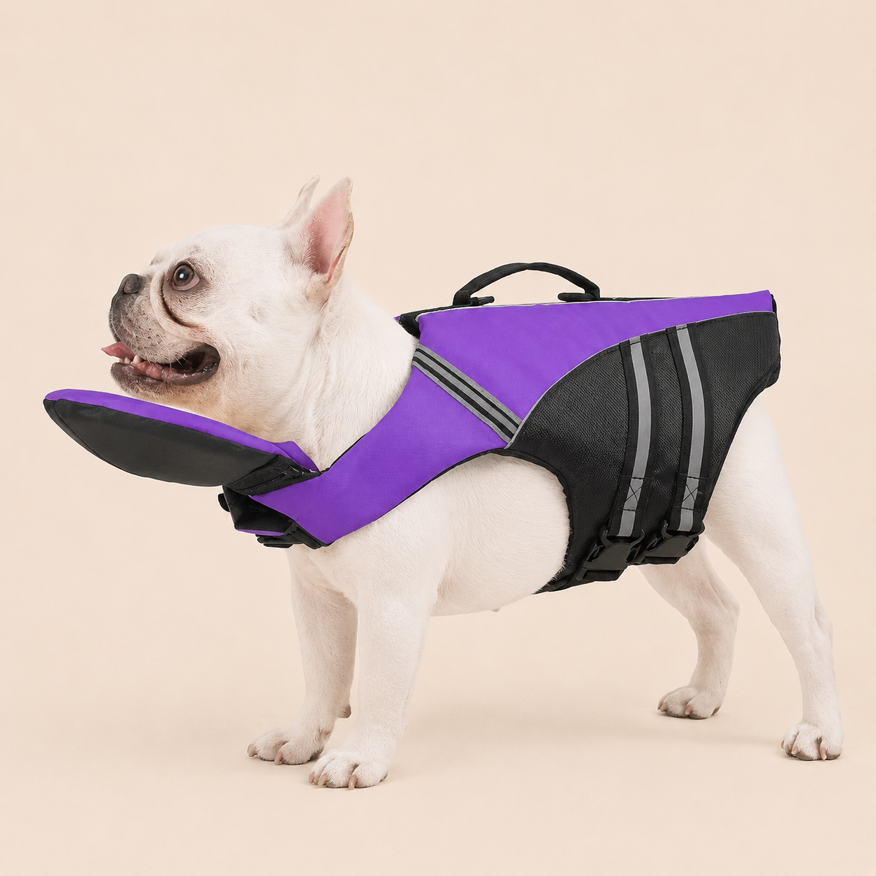 ChinLift- Dog Swim Safety Vest