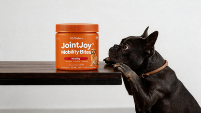 JointJoy™ -Mobility Bites