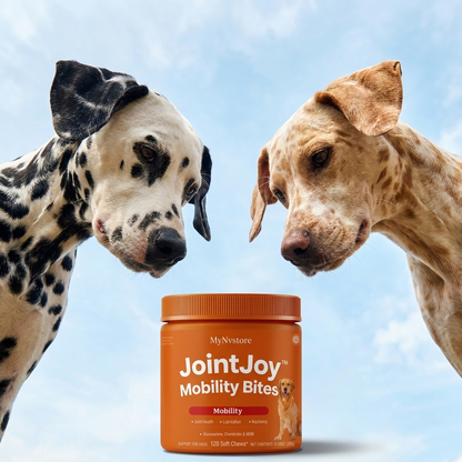 JointJoy™ -Mobility Bites